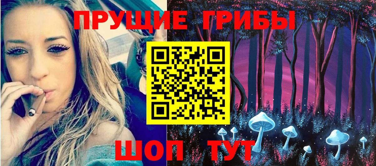 Псилоцибиновые грибы Psilocybine cubensis  Вход с VPN  Псилоцибиновые грибы мухоморы  Сухой Лог 