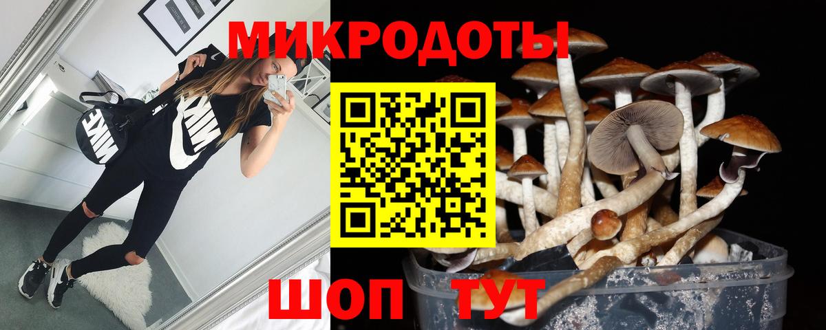 Псилоцибиновые грибы Psilocybe Сухой Лог